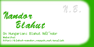 nandor blahut business card